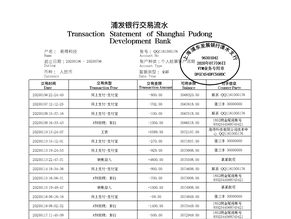 石家庄个人薪资流水制作